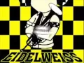 Download Lagu Eidelweiss Full Album