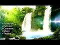 Relaxing Yoga Music ● Jungle Song ● Morning Relax Meditation, Indian Flute Music for Yoga, Healing