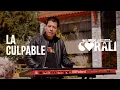 Download Lagu Cliver y su grupo Coralí - La culpable (Official Video) 2025