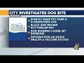City of Dubuque seeks information on dog biting incident