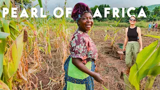 INSIDE A LOCAL COMMUNITY IN UGANDA