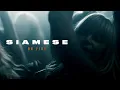 Siamese - On Fire