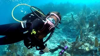 Scuba Diving In Florida After Hurricane IRMA (Drenched Ep. 41)
