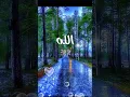 Download Lagu Mujhe agar puri duniya bhi chor jaye#iloveprophetmuhammadﷺ #islamicprophet #youtube #beautiful #life