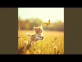 Download Lagu I need kitty always