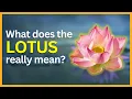 The Hidden Symbolism and Meaning of the Lotus Flower SymbolSage