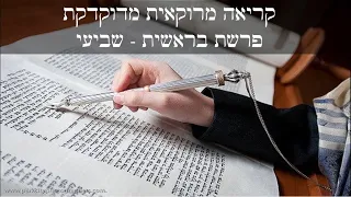 קריאה מרוקאית מדוקדקת פרשת בראשית עלייה שביעי 