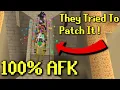 Jagex Tried To Patch AFK Agility But They Failed