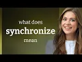 Synchronize meaning of SYNCHRONIZE
