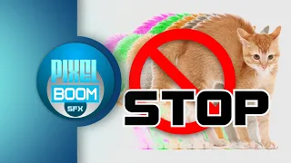 2 HRS Anti Cat Ultrasonic Sound Stop Cat Meowing Cat Meow Control Keep A Cat Out Of The Garden 