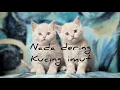 Download Lagu Nada dering suara kucing imut || 2 || pecinta kucing cocok