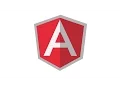 Angular js 1 x custom order by with example