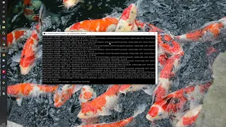 Tensorflow using an AMD GPU Python Windows 10