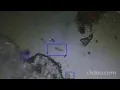 Motion detection in microscope s using Python and OpenCV