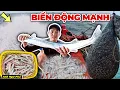 Download Lagu Biển Động Mạnh Theo Ghe Ông Anh Học Hỏi Kinh Nghiệm Cào Mực | Anh Ngư Phủ