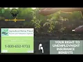 Your Right to Unemployment Insurance Benefits