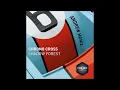 Chrono Cross - Shadow Forest (Alternative Rock Cover)