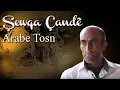 Download Lagu Shewqa Chande - Arabe Tosn