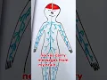 What s Inside Your Body Let s Meet Your Bones and Brain