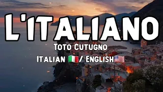                                                        دندنها