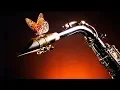 Download Lagu La Solitudine - Herman Schoonderwalt on Saxophone