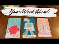 Your detailed weekly tarot forecast pick a card 90 s Edition August 17th-24th