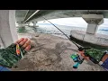 Lagu PESTA PELBAGAI IKAN Putih, Siput Sudu \u0026 Sotong Kurita!!