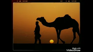 اواه من نفس لظى صابها امل شبلي 