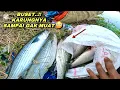 Download Lagu Mancing ikan blanak lama tak terjamah panen strike mullet fishing