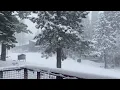 RAW Spring snow falls in the Tahoe Donner area