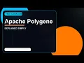 Apache Polygene Explained Everything You Need to Know