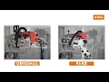 Beware of Fake STIHL Websites