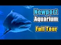 Newport Aquarium Newport Kentucky Full Walkthrough