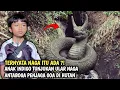 Lagu ANAK INDIGO TUNJUKAN ULAR NAGA ANTABOGA MILIKNYA ANGLING DHARMA PENJAGA GOA MISTERIUS DITENGAH HUTAN
