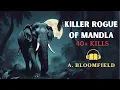 Download Lagu Mad Elephant of Mandla | Colonel A. Bloomfield | Adventure Audiobook