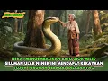 VIRAL !! NENEK MISKIN TAK SENGAJA MENOLONG ULAR YANG TERLUKA , KEESOKAN HARINYA NASIBNYA BERUBAH
