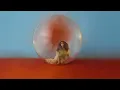 Alessia Cara - Best Days (Lyric Video)