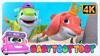 Oh No! Baby Shark Got a Boo Boo | Kids Song & Nursery Rhyme