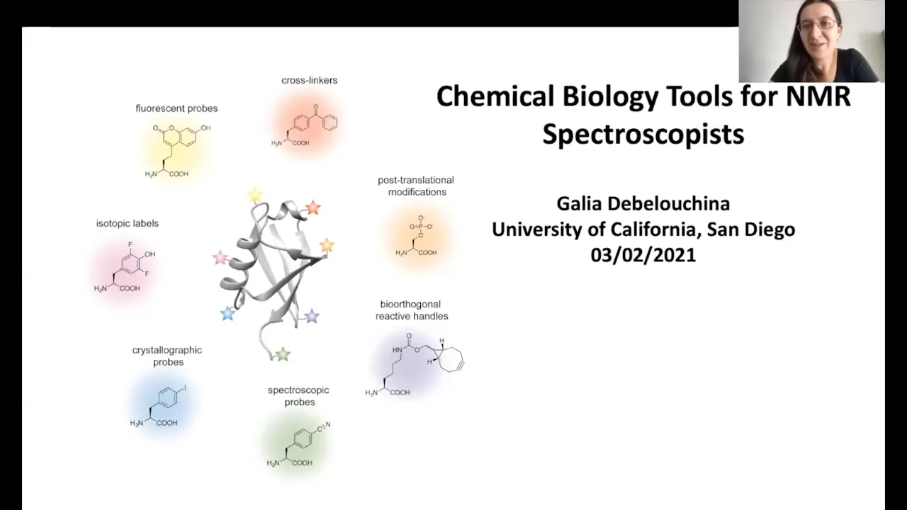 Chemical biology tools for the NMR structural biologist | Prof. Galia Debelouchina | Session 23