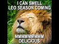 Leo Memes - Funny Leo Zodiac Memes Compilation