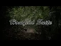 Homfeld Suite