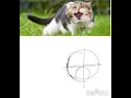 Download Lagu Don’t mind how I made my own reference ok #drawing #shorts #warriorcats #fypシ゚viral 