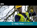 DTE Tree Trim Academy Program