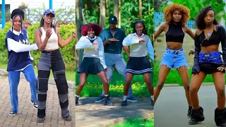 aidonia le le le tiktok challenge