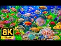 8K Aquarium Relaxation Dive Into The Mesmerizing Underwater Realm Sea Jellyfish Coral Reefs