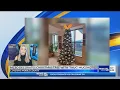 MCSO decorates Christmas Tree with thug mugshots