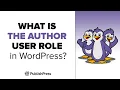 What is the Author User Role in WordPress
