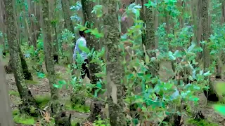 Sabboonaa Tafarraa Weelluu Haaraa  Sabboonaa Tafarraa Weelluu Haaraa