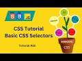 Selectors in css html What is Simple or Basic Selectors in css Web Development Tutorials