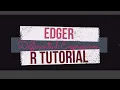 EdgeR - Differential Gene Expression Analysis using RNA-seq data